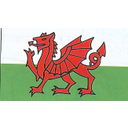Show Flag of Wales Image