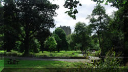 Blarney1