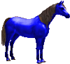 bluehorse.gif