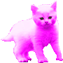 purplecat.gif